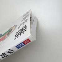 山川MOOK 安野光雅