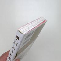 平成ネット史 永遠のベータ版
