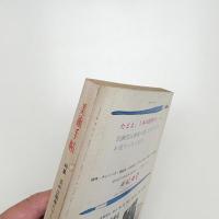 美術手帖　1971年6月号