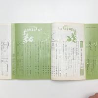 美術手帖　1966年11月号