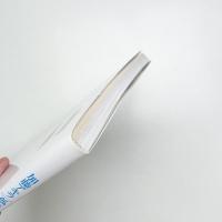 加藤アキラ 孤高のブリコルール