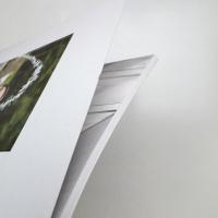 建畠晢 POETRY/ART