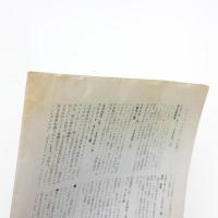 ガレリア通信 No.1