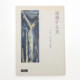 透過する光 中村一美著作選集