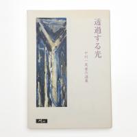 透過する光 中村一美著作選集