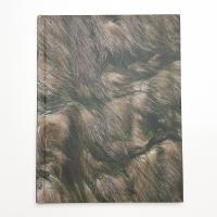 David and Chie Hammons