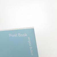 Pixel book: Angela Bulloch