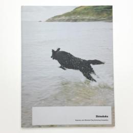 Shimabuku: Swansea Jack Memorial Dog Swimming Competition