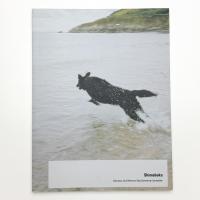 Shimabuku: Swansea Jack Memorial Dog Swimming Competition