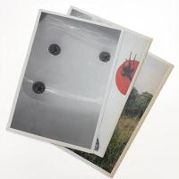 象のいる星, トマト七星, トマトと象