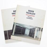 DAVID TREMLETT: A quiet madness, 7 wall drawings und Arbeiten auf Papier aus den Jahren 1971-1991