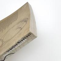 La dation Brancusi: dessins et archives