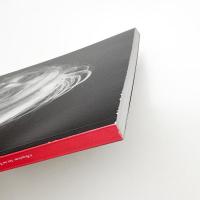 森村泰昌: なにものかへのレクイエム 戦場の頂上の芸術
