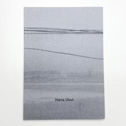 Hana Usui: Political and sociocritical works 2014-2019