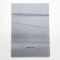 Hana Usui: Political and sociocritical works 2014-2019