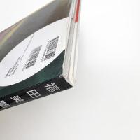 PICTURESQUE: Miran Fukuda1992-1998