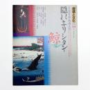 自然と文化 54号