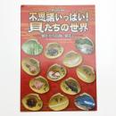 不思議いっぱい! 貝たちの世界 蝸牛から烏賊・蛸まで