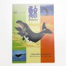鯨 Cetacea 三次元のゆりかごのなかで