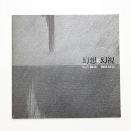 幻想と幻視 混在領域と領域侵犯