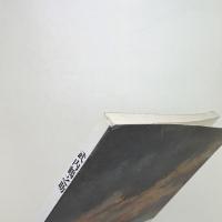 武内鶴之助展 パステルのモノローグ