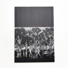 33回忌記念 石井茂雄作品集 完全犯罪と芸術