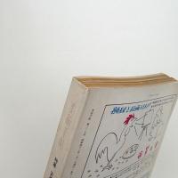 美術手帖　1971年1月号