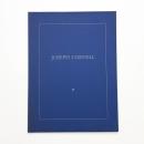 Seven Boxes by JOSEPH CORNELL