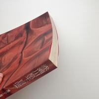 赤瀬川原平の冒険 脳内リゾート開発大作戦