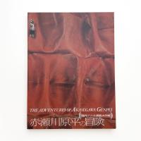 赤瀬川原平の冒険 脳内リゾート開発大作戦