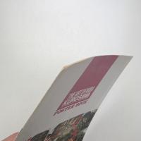 THE ART OF AKIRA KUROSAWA POSTER BOOK VOL.2