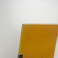 映画理論誌 眼 創刊号