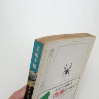 美術手帖　1974年7月号