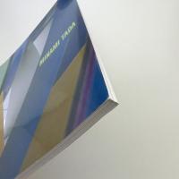 多田美波 光の迷宮