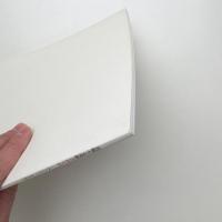 共鳴する美術2010 ストーリー・テリング