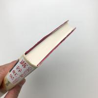 乙女たちが愛した抒情画家 蕗谷虹児