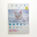 美術手帖　2011年2月号