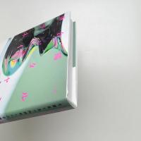 デジタルネイチャー 生態系を為す汎神化した計算機による侘と寂