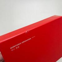 NORITOSHI HIRAKAWA 1988-94