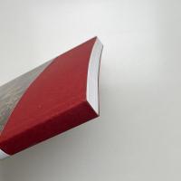 DOMANI・明日 記録集