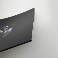 木のしつらゑ 一本の木 枝のもと 高山まさき展