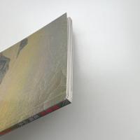 馮夢波: 亂碼山水