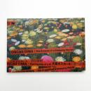 大岩オスカール 夢みる世界