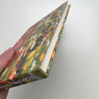 大岩オスカール 夢みる世界