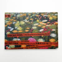 大岩オスカール 夢みる世界