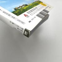 美術手帖　2005年6月号