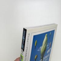 美術手帖　2006年11月号