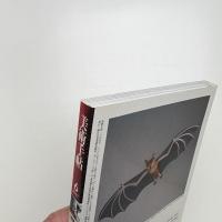 美術手帖　2007年6月号