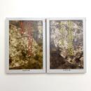 定家明月記私抄 正続