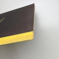 Lichtenstein's Picassos: 1962-1964